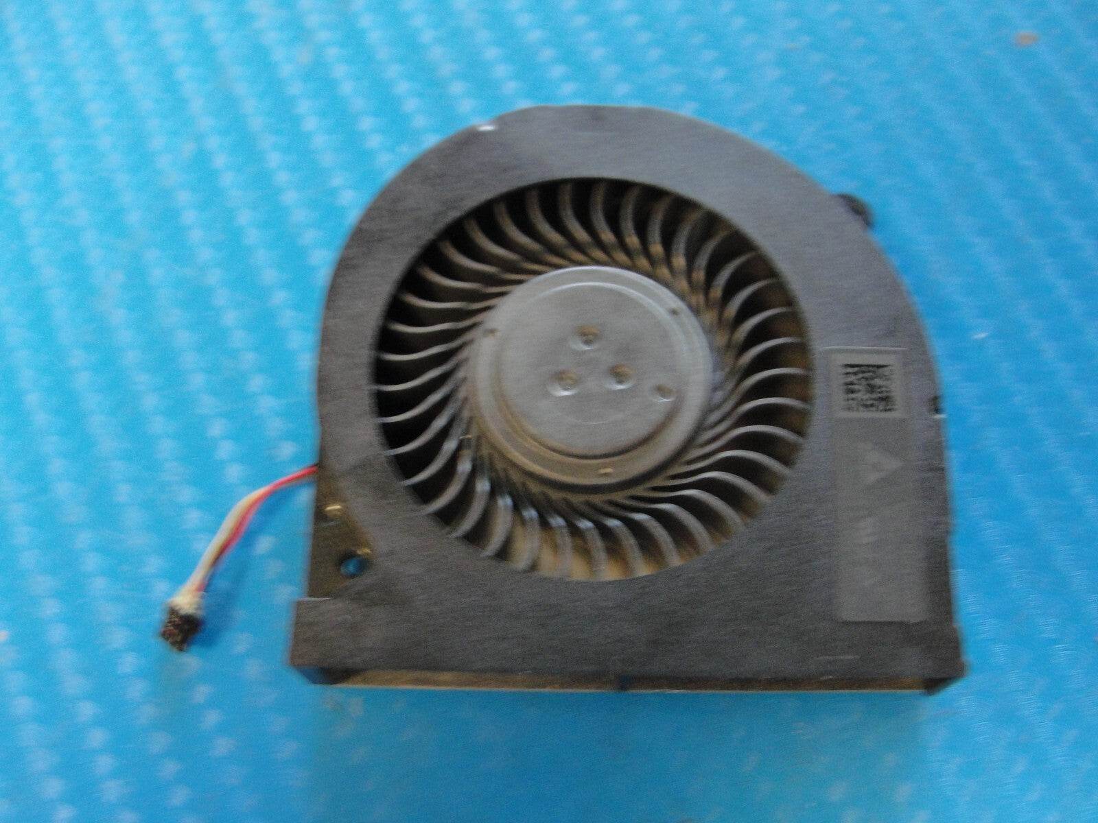 44595406