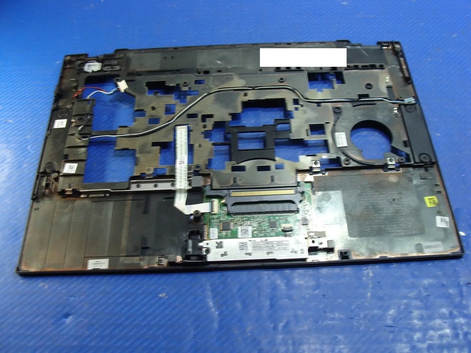 Dell Latitude 14.1