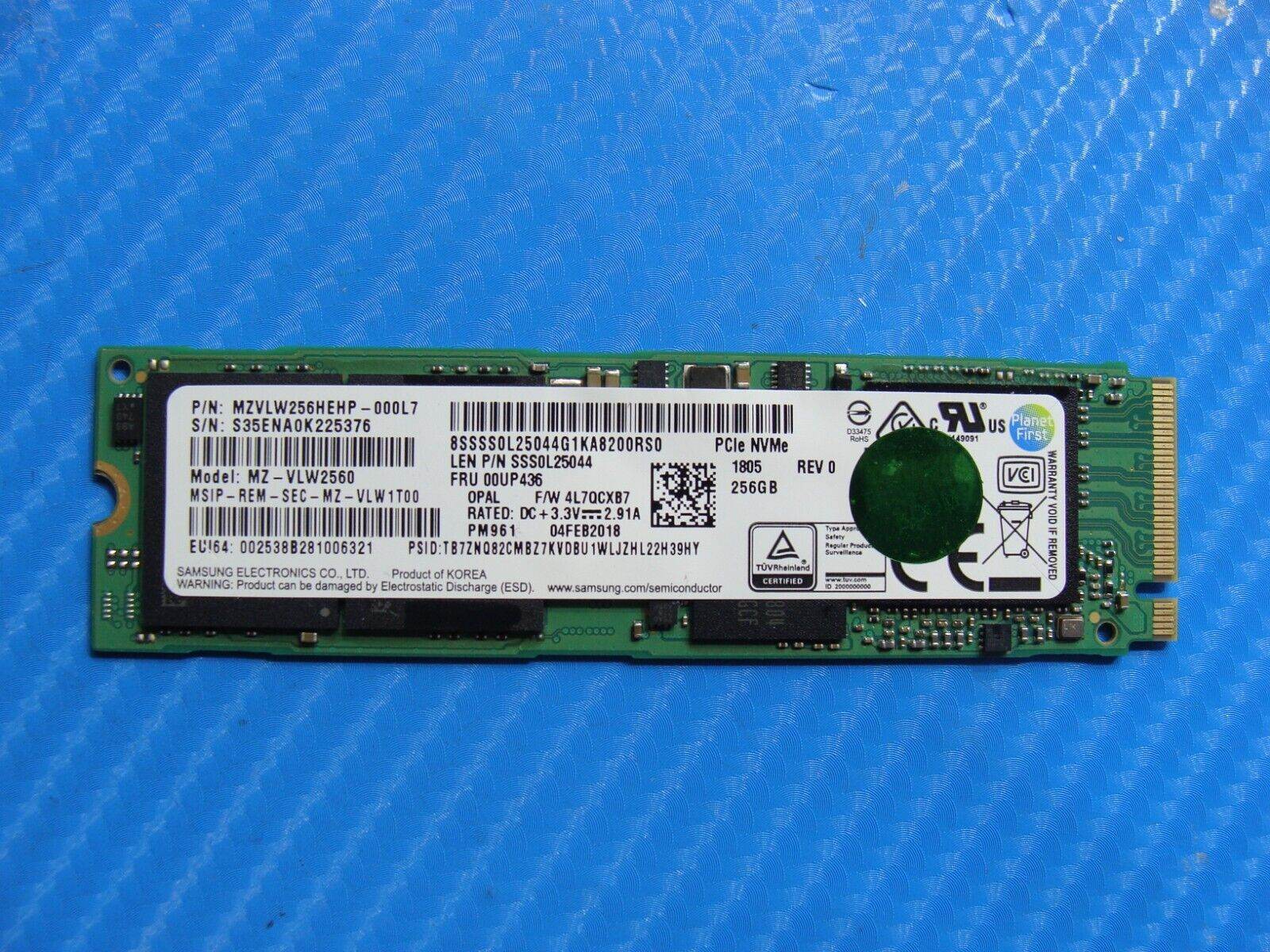 Lenovo X270 Samsung 256GB NVMe M.2 Solid State Drive 00UP436 MZVLW256HEHP-000L7